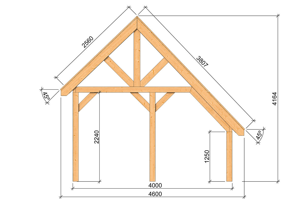 Carport Holz Nalle Seitenansicht 460